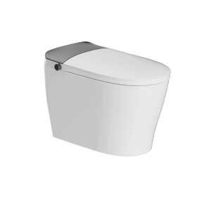 Smart Toilet with Tank Built In, One Piece Bidet Toilet, Instant Warm Water, Heated Seat, Foam Shield, Sensor to Open/Close/Flush, ADA Height (Systm: D07)